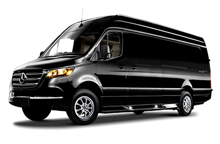 Luxury VIP Sprinter